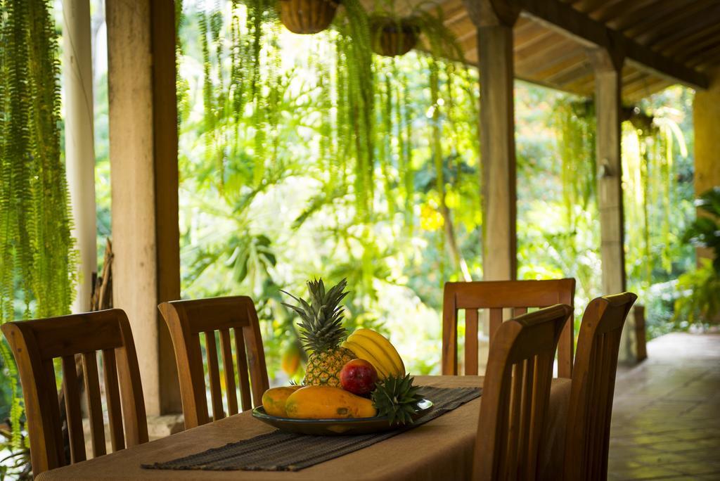 La Villa De Soledad ลาเซย์บา ภายนอก รูปภาพ