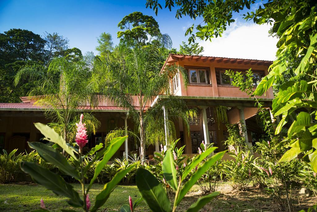 La Villa De Soledad ลาเซย์บา ภายนอก รูปภาพ